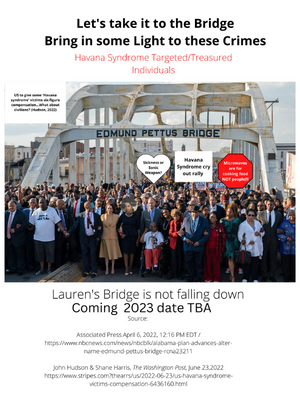 “Bringing light to the bridges” ~ Coming in 2023